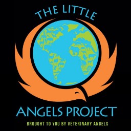 User icon: littleangelsproject
